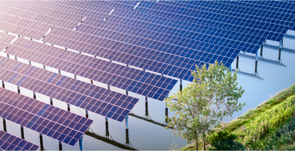 8868�����ٷ���վ-������������ֱ��ƽ̨